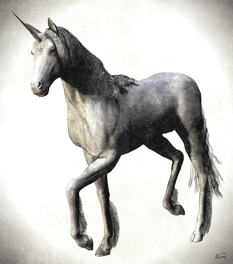 einhoernchen1024